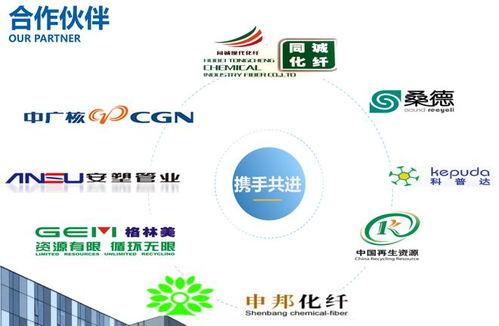 瑞利環保 一站式破碎清洗甩干設備與環保咨詢服務，打造綠色循環整體解決方案